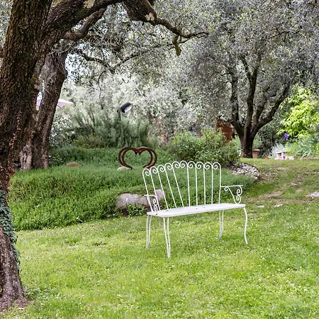 Apartment Della Pieve *
